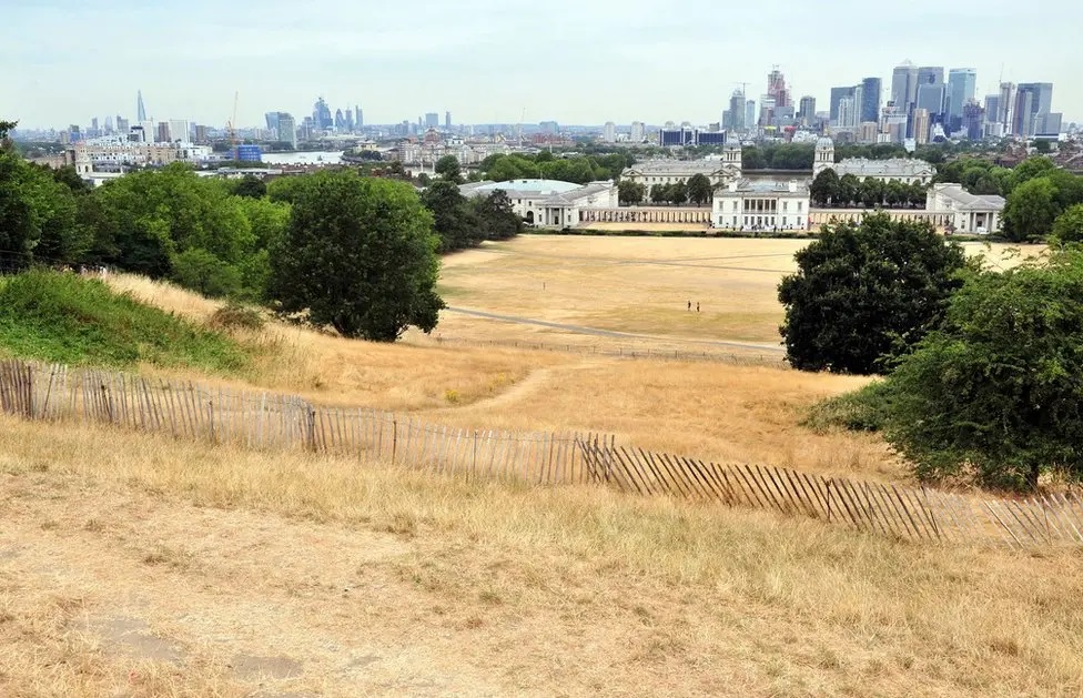 Parched park in Greenwich summer 2026